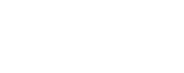 NetBrain supporting icon